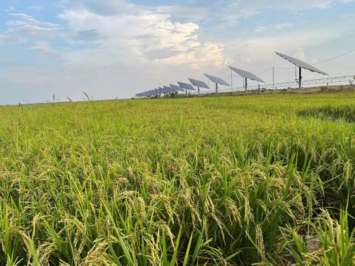 solar panel