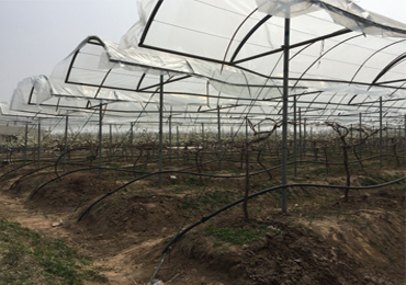 7,5-kW-Solar-Tropfbewässerungsprojekt in Xuzhou